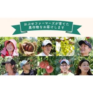 ふるさと納税 りんご 長野県 小布施町 訳あり...の詳細画像5