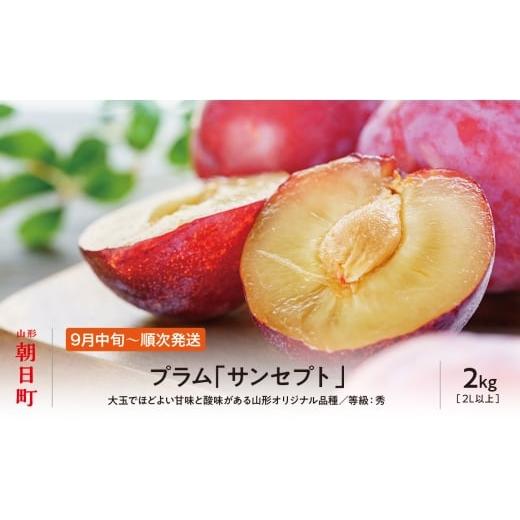 ふるさと納税 果物類 山形県 朝日町  先行予約 プラム サンセプト 2kg 大玉 2L以上 秀品 ...
