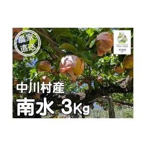 ふるさと納税 梨 長野県 中川村 農家直送 森...の詳細画像1