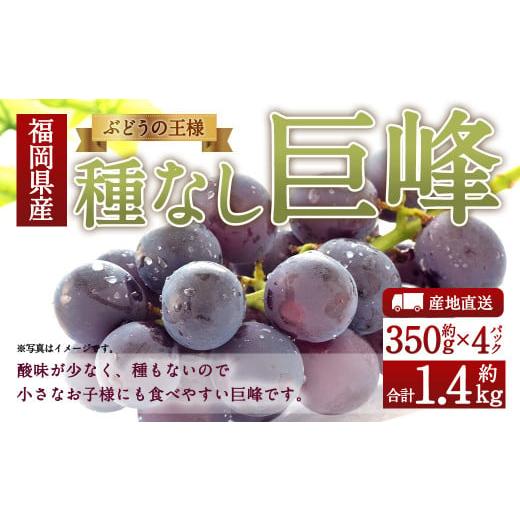 ふるさと納税 福岡県 筑後市 数量限定 種なし 巨峰 約350g×4パック 計約1.4kg ぶどう ...