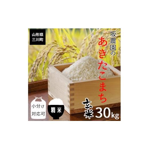 ふるさと納税 山形県 三川町 【令和5年産・精米発送】坂農園の厳選米！あきたこまち玄米30kg  精...