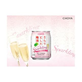 ふるさと納税 岐阜県 各務原市 621 CHOYAさらりとした梅酒 スパークリング缶 250ML×2...