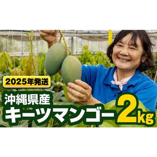 ふるさと納税 沖縄県 南風原町 【2024年発送】沖縄県産キーツマンゴー2kg