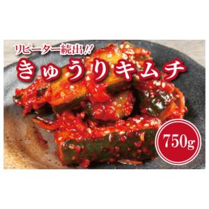 ふるさと納税 加工品等 キムチ 大阪府 泉佐野市 リピーター続出 こだわりきゅうりキムチ 750g 新鮮野菜 高評価 人気 惣菜 きむち 漬物 韓国グルメ おつまみ …