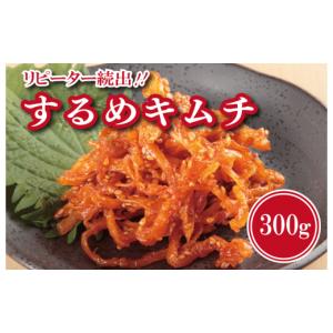 ふるさと納税 加工品等 キムチ 大阪府 泉佐野...の詳細画像1