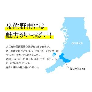 ふるさと納税 加工品等 キムチ 大阪府 泉佐野...の詳細画像4