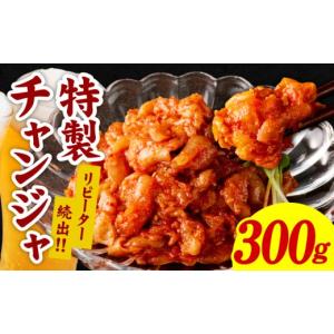 ふるさと納税 加工品等 キムチ 大阪府 泉佐野...の詳細画像1