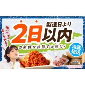 ふるさと納税 加工品等 キムチ 大阪府 泉佐野...の詳細画像5