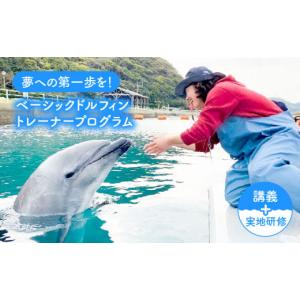 ふるさと納税 体験チケット 長崎県 壱岐市 ベー...の商品画像