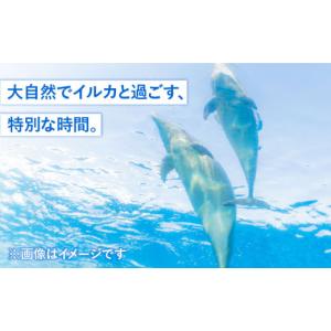 ふるさと納税 体験チケット 長崎県 壱岐市 ベ...の詳細画像2