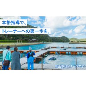ふるさと納税 体験チケット 長崎県 壱岐市 ベ...の詳細画像3