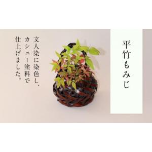 ふるさと納税 民芸品・工芸品 兵庫県 豊岡市 かごバッグ 柳かご（大