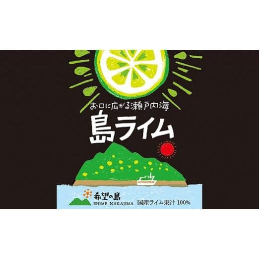 ふるさと納税 愛媛県 松山市 希望の島 ライム果汁 150mｌ×6本