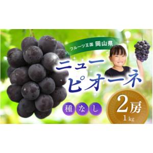 ふるさと納税 果物類 ぶどう 岡山県 真庭市 2026年発送 先行予約 岡山県産贈答用ピオーネ 除草剤不使用 2房 約1kg｜ピオーネ 岡山ピオーネ ピオーネ ぴおーね…