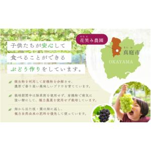 ふるさと納税 果物類 ぶどう 岡山県 真庭市 ...の詳細画像5