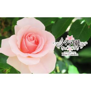 ふるさと納税 雑貨・日用品 花 岩手県 花巻市 ...の商品画像