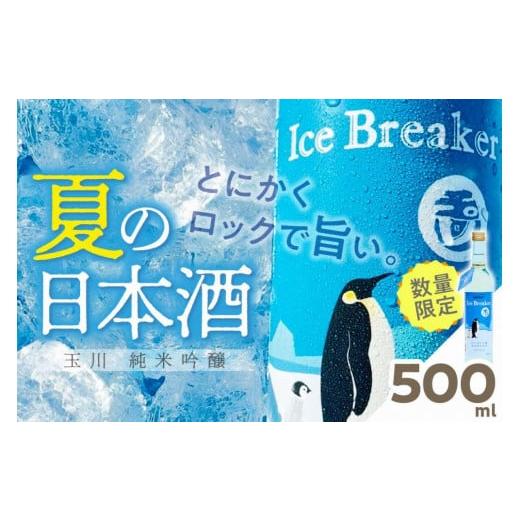 ふるさと納税 京都府 京丹後市 玉川 純米吟醸 Ice Breaker　500ｍｌ　AM00281