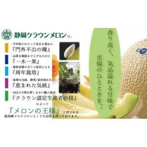 ふるさと納税 メロン メロン青肉 静岡県 袋井...の詳細画像3