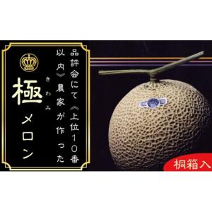 ふるさと納税 メロン メロン青肉 静岡県 袋井...の詳細画像1