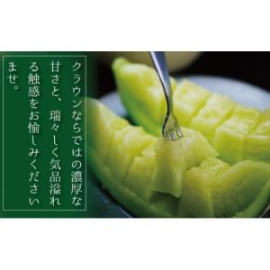 ふるさと納税 メロン メロン青肉 静岡県 袋井...の詳細画像4