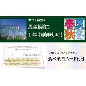 ふるさと納税 メロン メロン青肉 静岡県 袋井...の詳細画像5