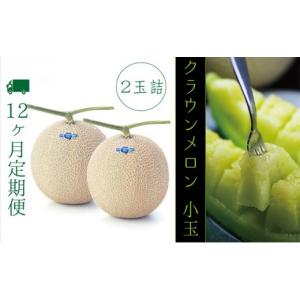 ふるさと納税 メロン メロン青肉 静岡県 袋井...の詳細画像1