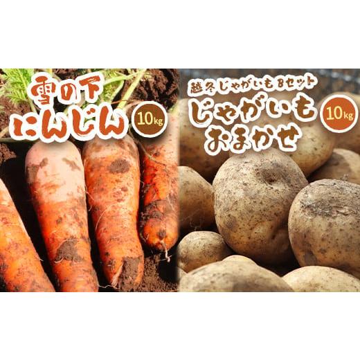 ふるさと納税 野菜類 人参 北海道 真狩村 北海道真狩村産　雪の下にんじん約10kgと越冬じゃがいも...