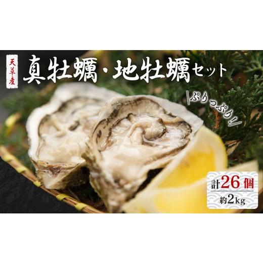 ふるさと納税 熊本県 上天草市 活き天草真牡蠣 10個 （加熱用） と 地牡蠣 16個 （加熱用） ...