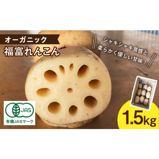 ふるさと納税 人参・大根・他根菜 佐賀県 白石町  2026年1月以降発送 節切り （洗い）希少な ...