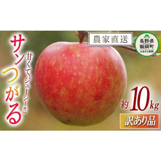 ふるさと納税 りんご 長野県 飯綱町 りんご サンつがる 訳あり 10kg 関農園 沖縄県への配送不...