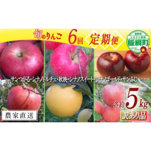 ふるさと納税 長野県 飯綱町 旬のりんご 【 定期便 】 訳あり 5kg × 6回 マルヤマフルーツ農園 沖縄県への配送不可 2024年9月上旬頃から2024年12月下旬頃まで…｜ふるさとチョイス