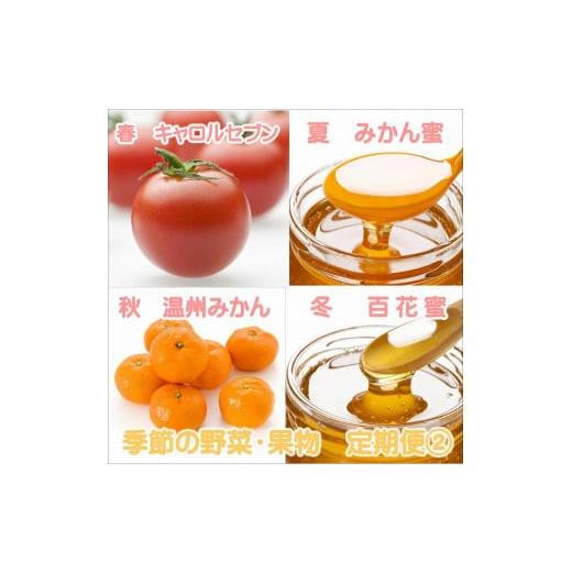ふるさと納税 果物の詰合せ 和歌山県 御坊市 御坊市　旬の野菜・果物定期便（春・夏・秋・冬）4回　B