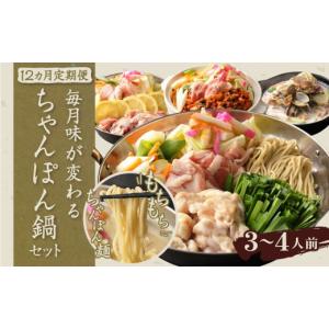 ふるさと納税 麺類 熊本県 水俣市 12か月定期便 毎月味が変わる みなまた ちゃんぽん鍋 セット 3-4人前
