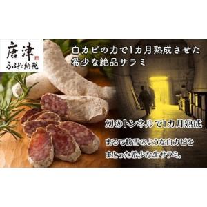 ふるさと納税 燻製 肉類 佐賀県 唐津市 白カビの力で1カ月熟成させた希少な絶品サラミ 冷凍 幻の鉄道トンネルで長期熟成