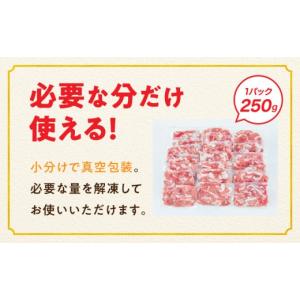 ふるさと納税 豚肉 モモ 宮崎県 都城市 「ぱ...の詳細画像3