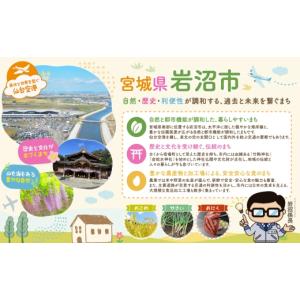 ふるさと納税 雑貨・日用品 宮城県 岩沼市 害...の詳細画像5
