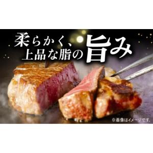 ふるさと納税 牛肉 ヒレ 長崎県 西海市 ヒレ...の詳細画像4