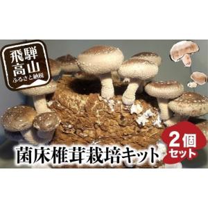 ふるさと納税 岐阜県 高山市 菌床椎茸栽培キット 2個セット しいたけ シイタケ 栽培キット 栽培 菌床 椎茸菌 採れたて とれたて 夏休み 自由研究 園芸 食育  a…｜ふるさとチョイス