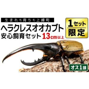 ふるさと納税 生き物 佐賀県 上峰町 1セット...の詳細画像1
