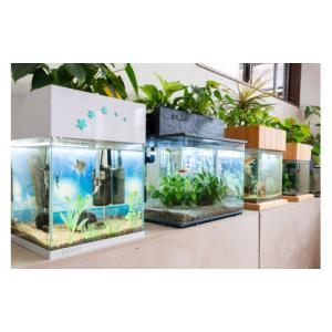 ふるさと納税 雑貨・日用品 広島県 東広島市 ...の詳細画像3