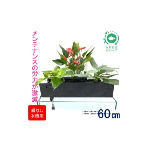 ふるさと納税 雑貨・日用品 広島県 東広島市 せせらぎビオトープ　60cm型ろ過装置・縁なし水槽用（ 水槽はついていません）