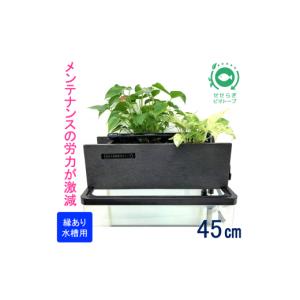 バカラ✴︎アラベスク✴︎プレート✴︎24㎝ バカラ（Baccarat） プレート アラベスク プレート 24cm 1732505