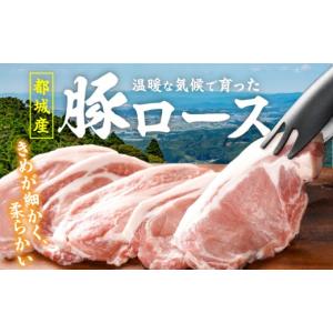 ふるさと納税 豚肉 ロース 宮崎県 都城市 豚...の詳細画像2