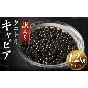 ふるさと納税 魚貝類 キャビア 宮崎県 国富町 ...の商品画像