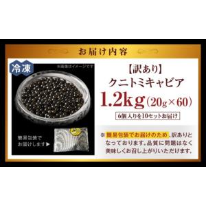 ふるさと納税 魚貝類 キャビア 宮崎県 国富町...の詳細画像2