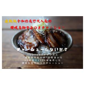 ふるさと納税 多度津町 讃岐名物やみつきチャーシュー500g【H-67