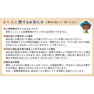 ふるさと納税 イベントやチケット等 鹿児島県 ...の詳細画像3