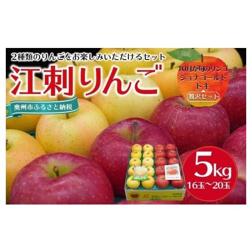 ふるさと納税 岩手県 奥州市 【数量限定】江刺りんご ジョナゴールド・トキ 5kg（16〜20玉）【...