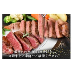 ふるさと納税 牛肉 セット 宮崎県 三股町 宮...の詳細画像3