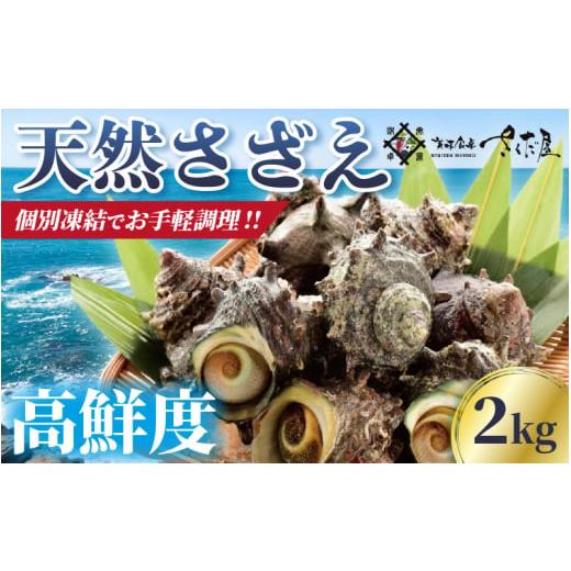 ふるさと納税 福井県 越前町 天然 さざえ ≪2kg≫ 加熱用 高鮮度 急速冷凍【海鮮 BBQ バー...